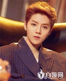 爆料鹿晗炒作事件视频下载,揭秘背后真相与争议 第1张 爆料鹿晗炒作事件视频下载,揭秘背后真相与争议 第1张